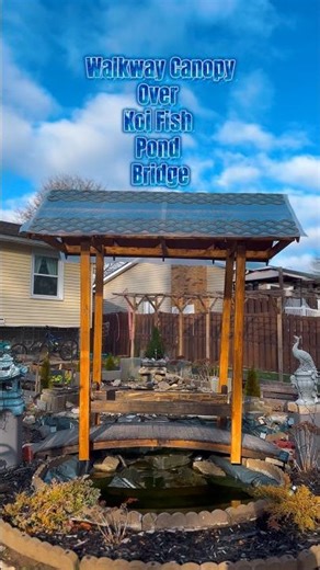 Covered bridge over a fish pond #shorts #canopy #diy