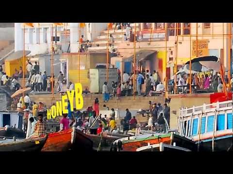 The Honey Bunny Song