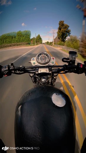 Triumph Scrambler 900 RAW SOUND💣💣💥 #triumphmotorcycles #triumphscrambler #scrambler900