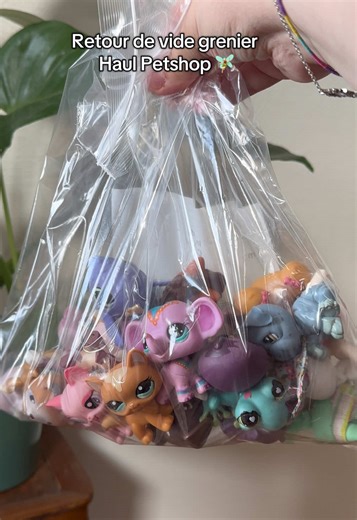 Lps.Paula sur TikTok