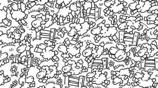 Everyone can see the happy sheep - but can you find the chicken in 8 secs?
