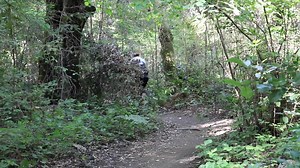 2.2K views · 17 reactions | Lessons on Trail Etiquette | Bicycle Blue Book | Facebook