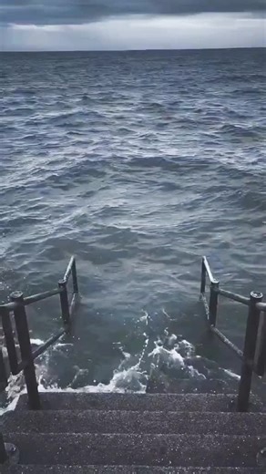 Siuuuuuu…#meme #funnyvideos #viral #memes #xuhuong #funny #fyp #fun #foryoupage