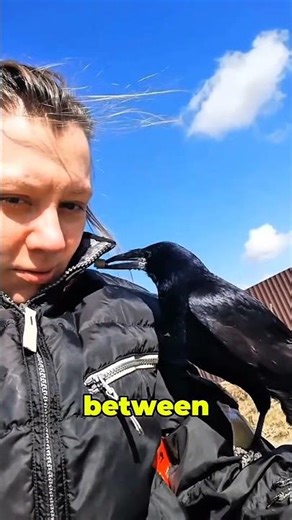 This Bird Can Remember Human Faces for Years 🐦