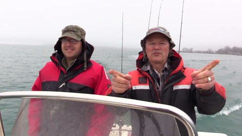 Fishing for perch with live minnows