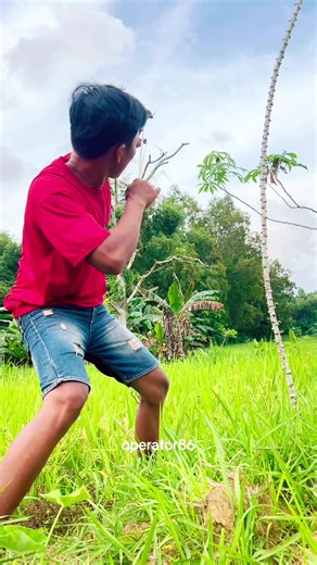 Sparrows using slingshot#@reals#firal#fup#sorotan