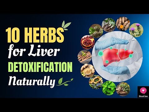 Top 10 Herbs for Liver Detoxification - Boosting Your Liver's Health Naturally | Blissed Zone