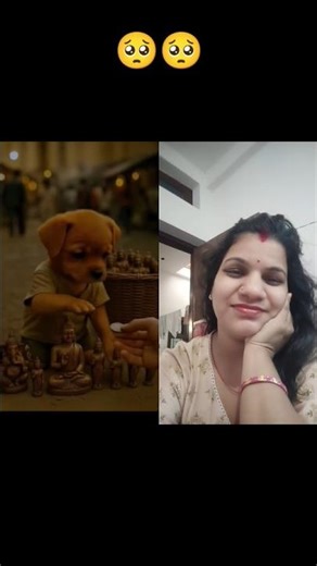 bechara dog#funny #comedy #entertainment #ytshort