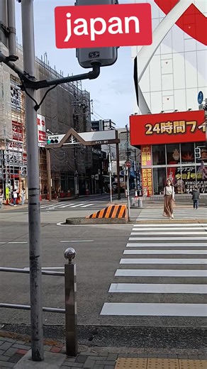 Exploring Student Life and Study in Japan