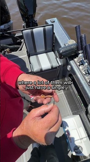 The action on this new Kalin's Fishing Worm Walker is INSANE. #fishing #walleye #walleyefishing