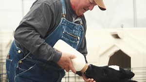 In the recent episode of Holstein America, brothers Brad and Todd Groves, of Groves View Dairy, share their story on how they have been farming together their entire lives. A commitment to quality Registered Holstein cattle has set them up for success on their southwest Missouri dairy. | Holstein Association USA