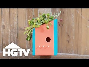 Way to Grow: How to Make a Living Roof Birdhouse | HGTV