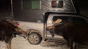 Worst car wash ever. 0 out of 5 stars. | Joelle Wisler, Writer