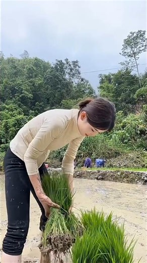 #타임랩스, 처음부터 끝까지 혼자 짓는 통나무집(목조주택) 목조주택 짓는 방법, 생존 Ep 86