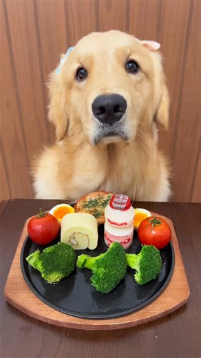 Golden Dog Taste Test Challenge 🍅🥚 | So Adorable! #pets #shortsfeed #shorts