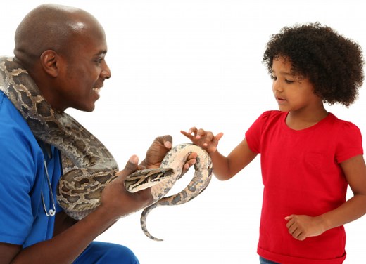 Can Your Reptile Bond with You?