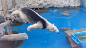 4.8M views · 15K reactions | Believe and you will achieve  | Funny Videos | Facebook