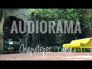 AUDIORAMA a true hidden gem in CHAPULTEPEC CDMX