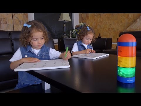 KADAMS Time Tracker Visual Timer with Audio Alarm, Pause Function Countdown Clock - Model K0223S