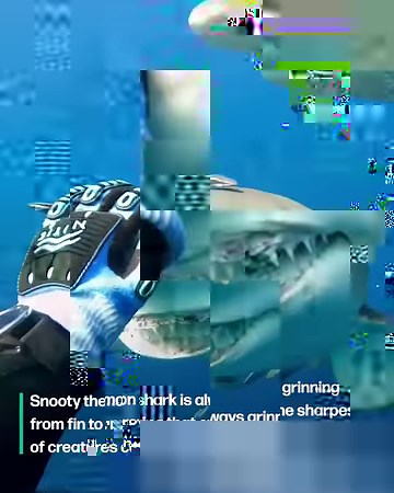 297K views · 1.6K reactions | Snooty the smiling shark 麗 | Furry Tails | Facebook