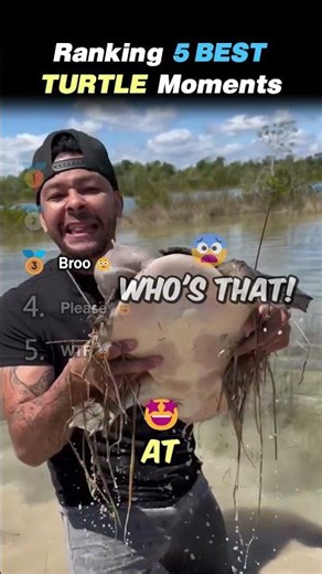Ranking 5 BEST TURTLE Core Moments!! 🐢😂