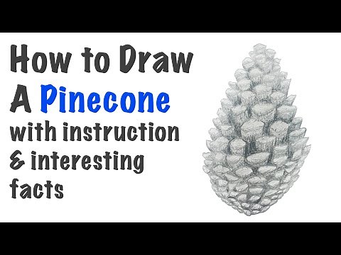 How to Draw a Pinecone