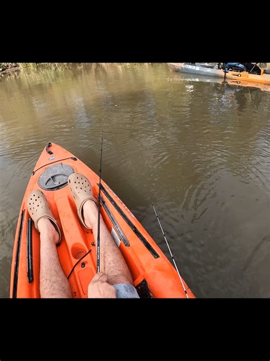 CRAPPIE FISHING GONE WRONG#BLUEGILL #FISHING