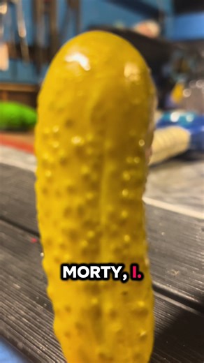 these are the real life episodes of Rick Sanchez from Rick and Morty. This is a fact, this is the actual man the show is based off of. And I need you all to do one thing actually I need you to do a bunch of stuff. I need you to repost. I need you to follow. I need you to do all your Rick Sanchez helping because Rick Sanchez need you and if you wanna go on an adventure someday. And hang out with the real Rick Sanchez. You gotta do what I say. Thanks for watching. I couldn’t do this without the he