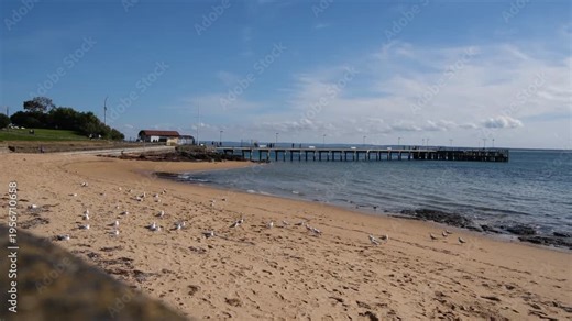 Sandy beach at Cowes on Phillip Island, Australia, with seabirds scattered on shoreline and Cowes Pier extending into coastal waters. Relaxed seaside living, tourism in a popular regional destination
