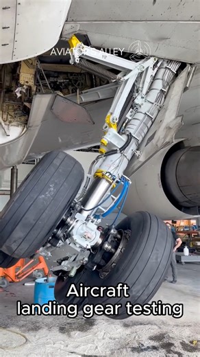 How test wheel | Home Store