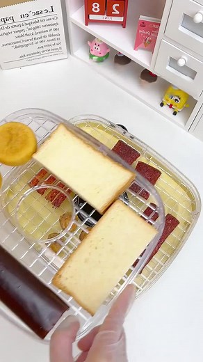 Dehydrating Everything: Candy, Fruit, Cheese & More!