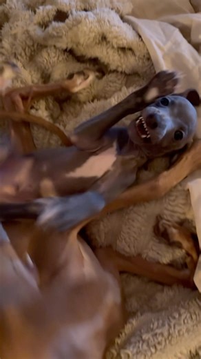 Endlich Wochenende! 🔥Heute bekommen wir bei bestem Wetter Besuch. ☀️