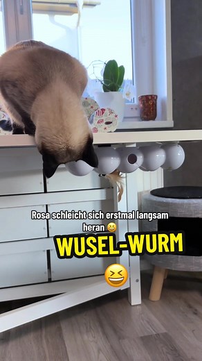 WUSEL-WURM: Das interaktive Spielzeug für Katzen