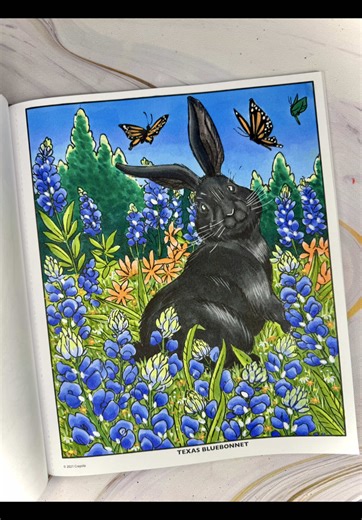 Honoring Sesame: A Healing Coloring Experience