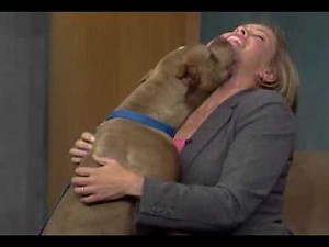 News blooper: Global BC's pet segment goes haywire