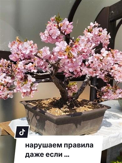 Замечали за собой, что нарушаете