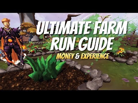 Ultimate Farm Run Guide RS3 - Money making, 99 and 120 guide