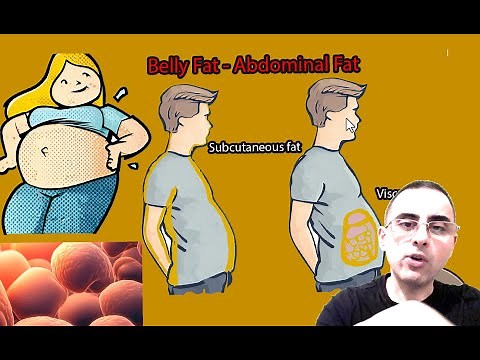 Belly Fat Explained, Understanding Visceral vs. Subcutaneous Fat