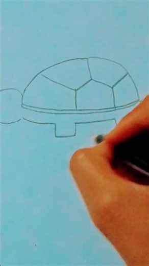 how to draw a easy turtle 🐢