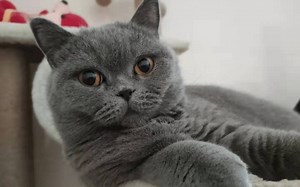 操作系统基础 基于x86架构 3(什么是指令)