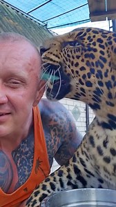 One day with Lions | Çorumlu Amir