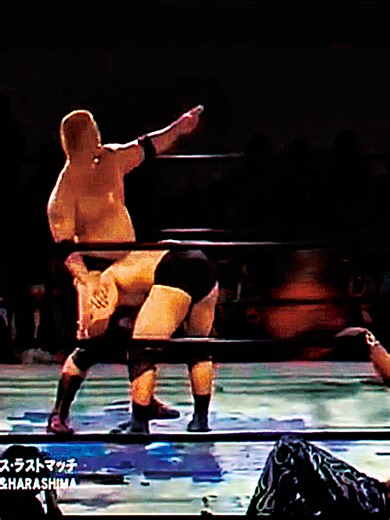 Pro-Wrestling Match of the Year: Sekimoto & Tanaka vs Hino