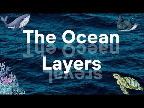 Ocean Layers Song for Kids | Learn Sunlight, Twilight, Midnight, Abyss, Trenches Zones + Sea Animals
