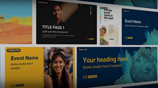 Canva for Teams Design Platform