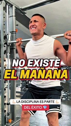 Disciplina meme original: la disciplina es parte del éxito