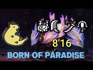 [MHR] SUPER Allmother 8'16 MH Rise 4P - E★8 Advanced: Born of Paradise Event Quest Discord Squad