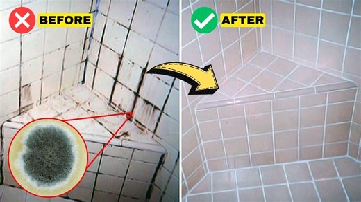 5 Proven Home Remedies to Get Rid of Mold for Good!