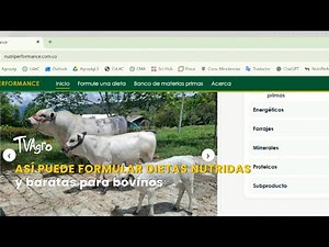 How to formulate nutritious and inexpensive diets for cattle - TvAgro by Juan Gonzalo Angel