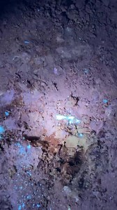 That glow under UV light is so exciting 🤩 Is it Colour or is it Potch? #opal #fblifestyle #australianopal #opalmining #unknown #whatisit #excitement | The Misfits Opal Hunters