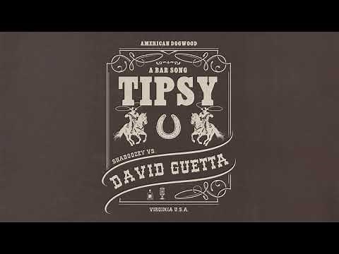 Shaboozey vs. David Guetta - A Bar Song (Tipsy) [Remix] (Official Visualizer)